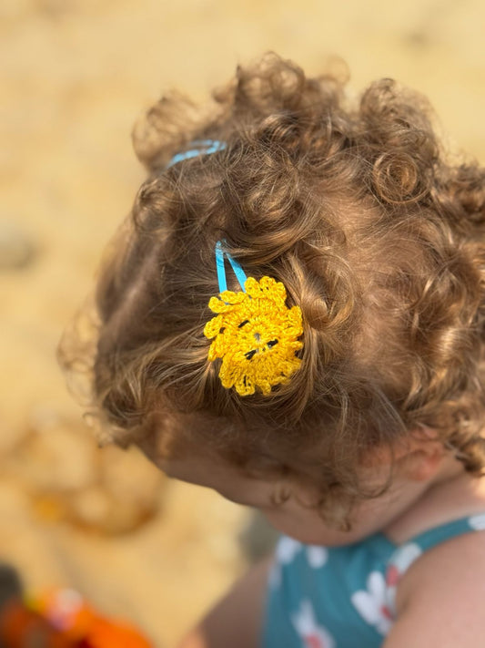 Petits univers des Barettes