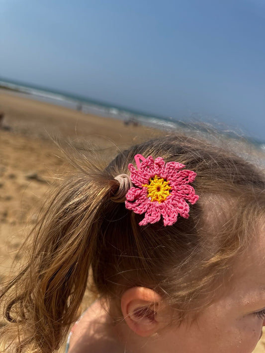 Le jardin des Barettes