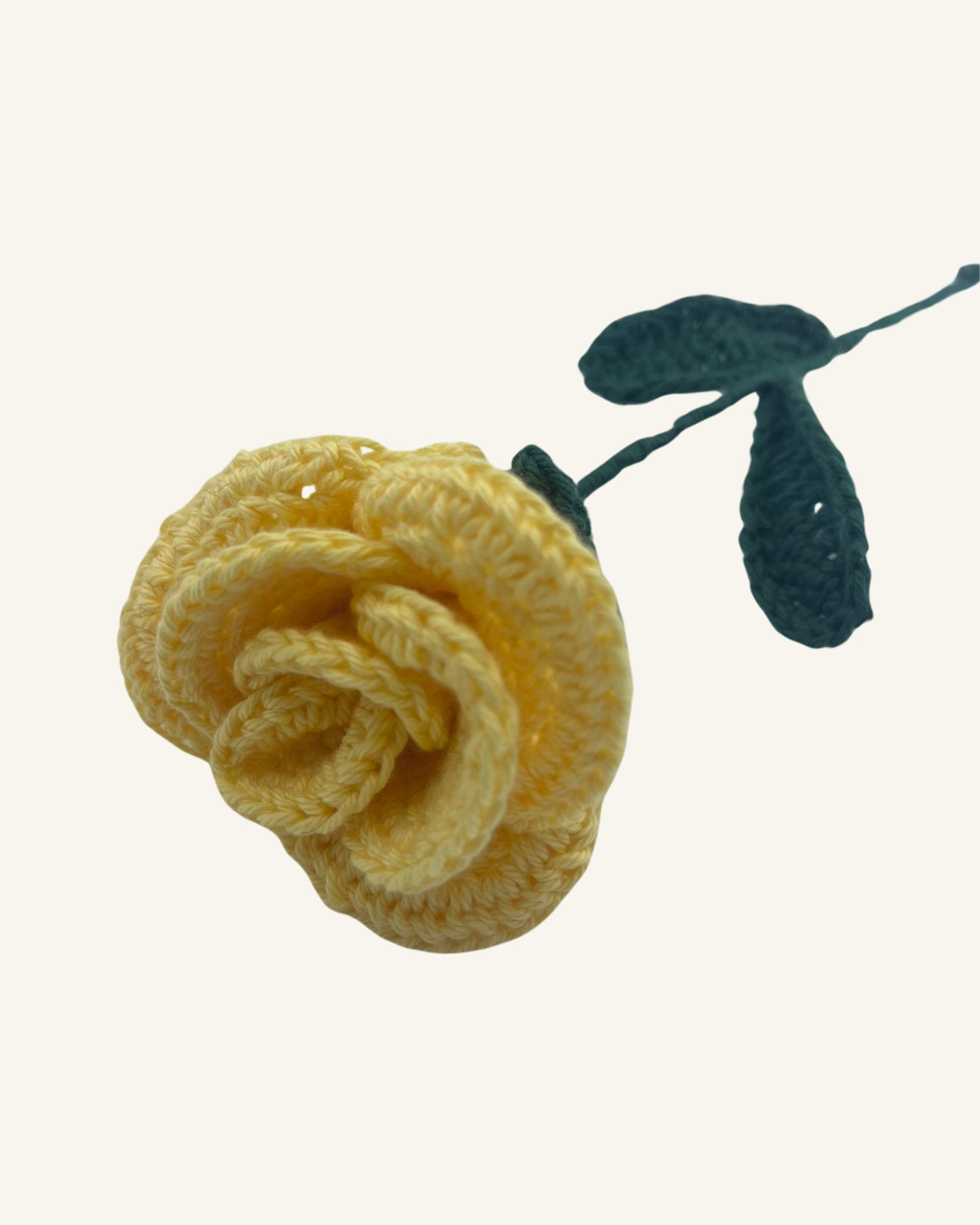 Rose Éternelle