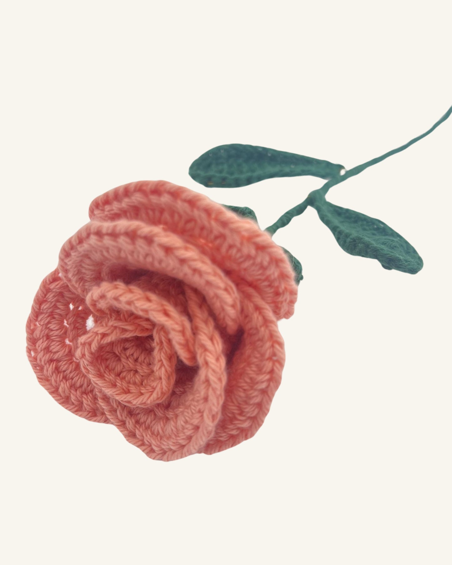 Rose Éternelle