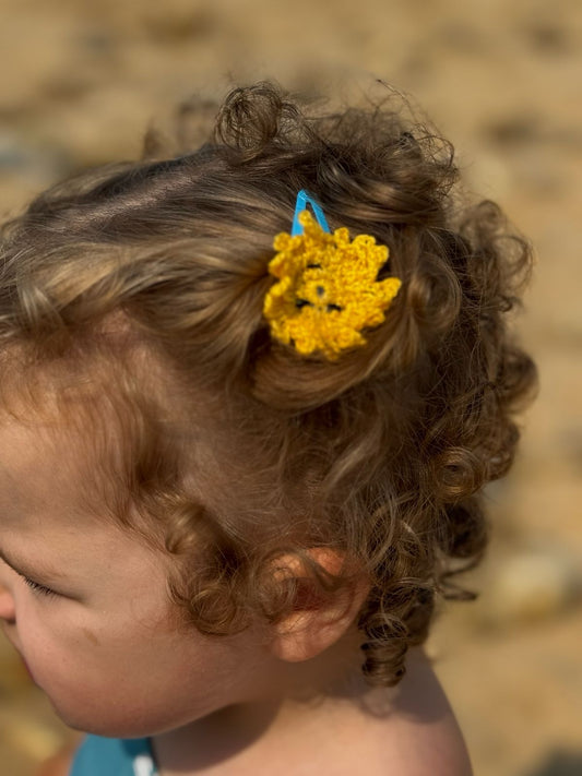 Petits univers des Barettes