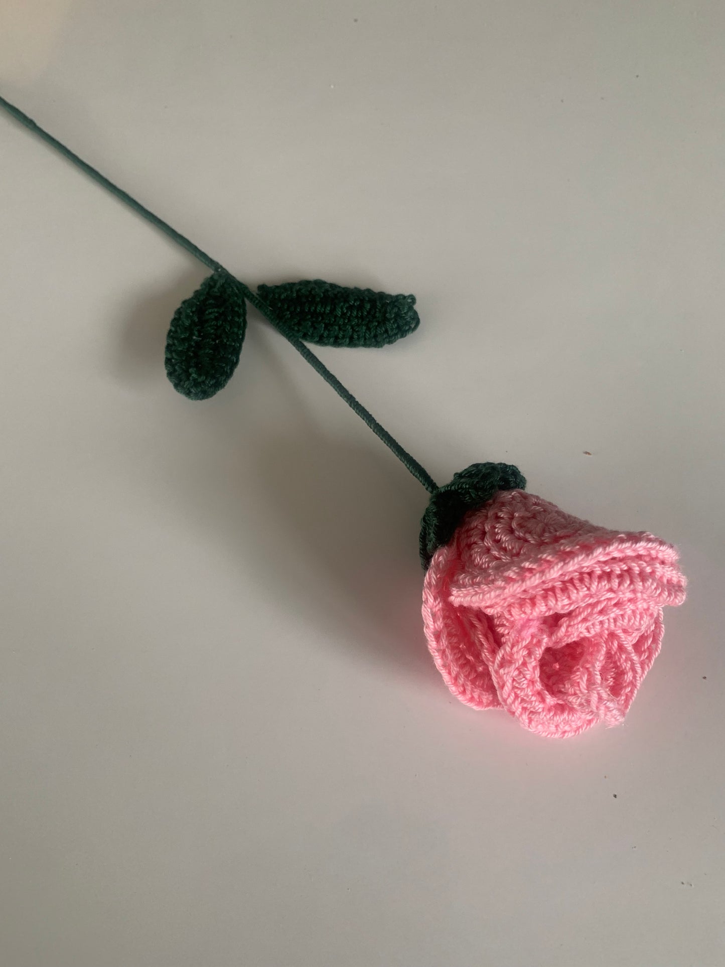 Rose Éternelle