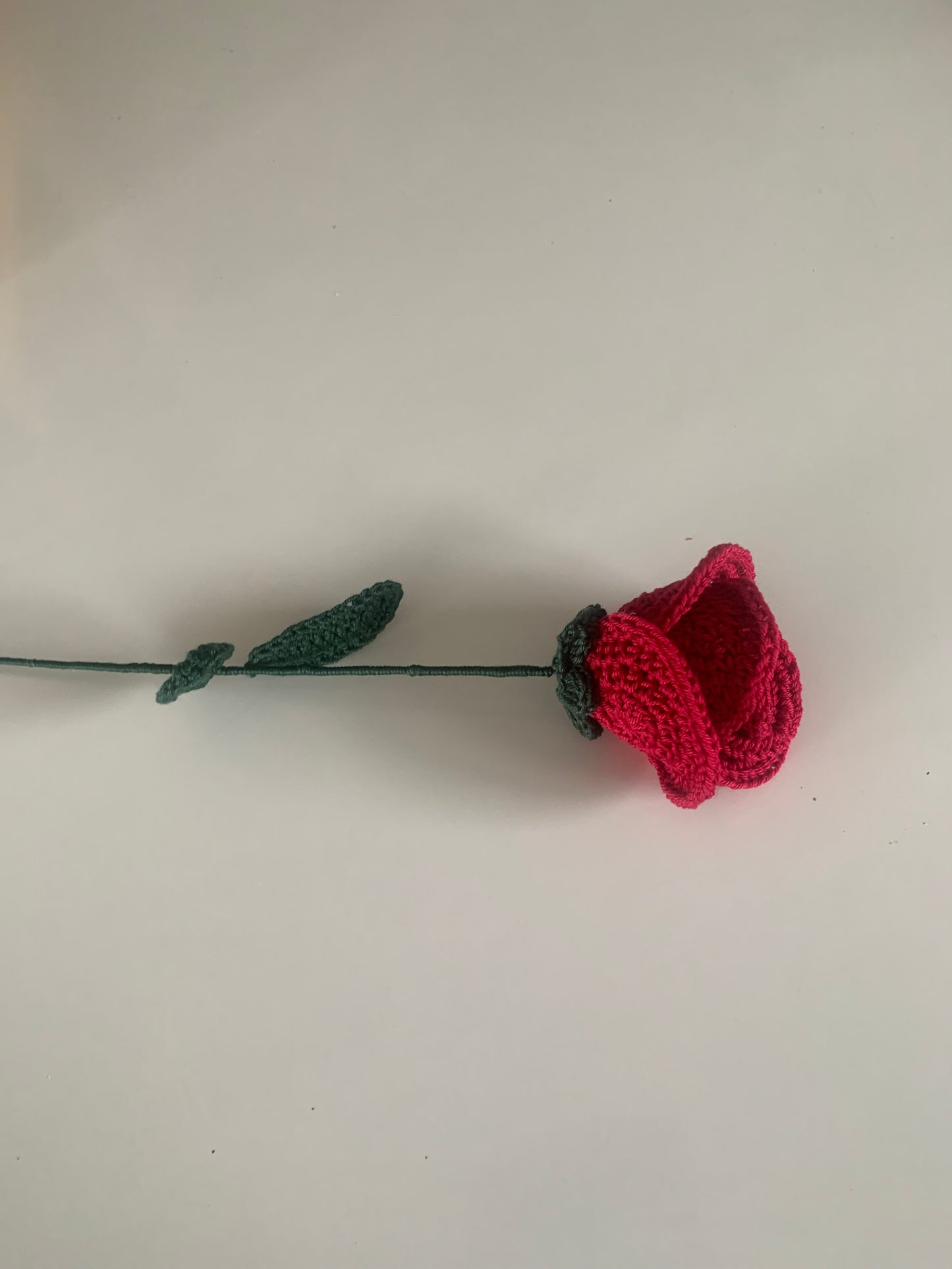 Rose Éternelle